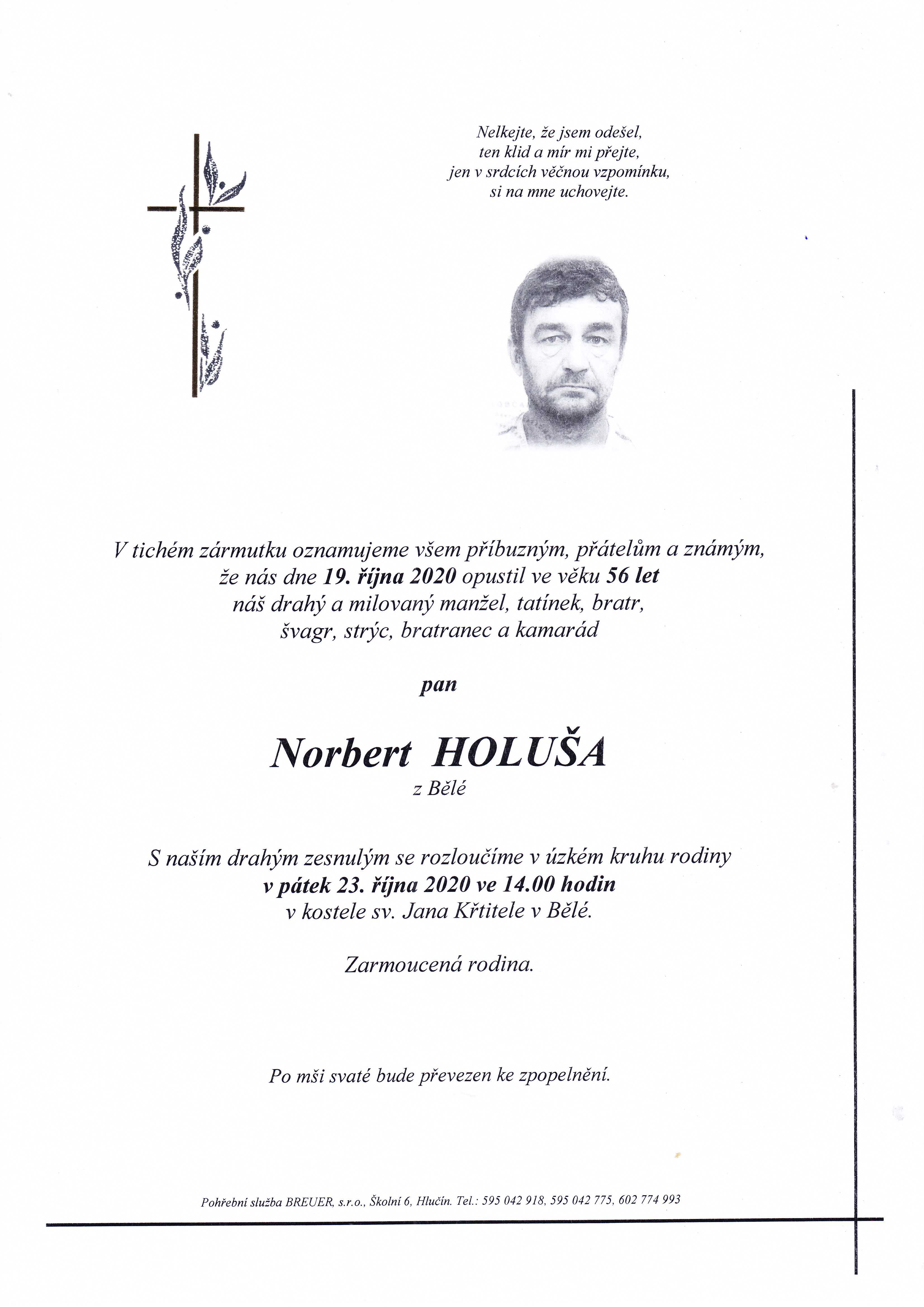 Holuša Norbert