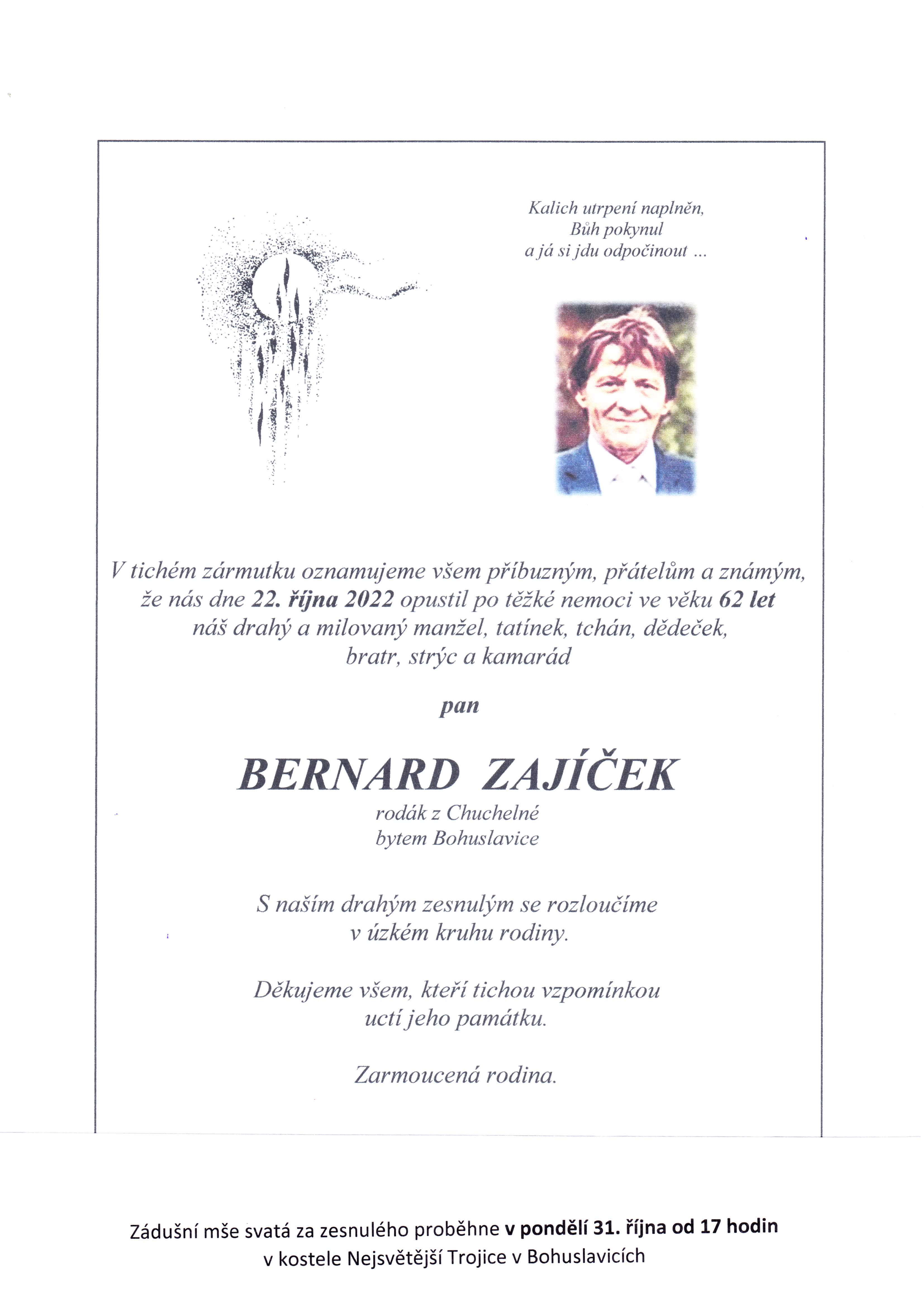 Zajíček Bernard
